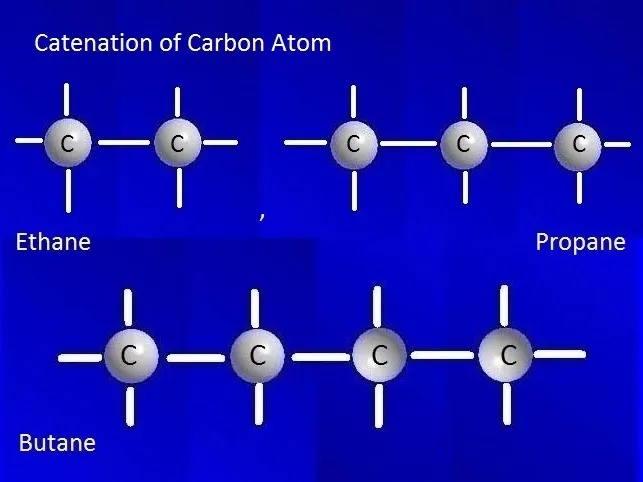 Figure 15.1: Formation of carbon chains and rings through catenation